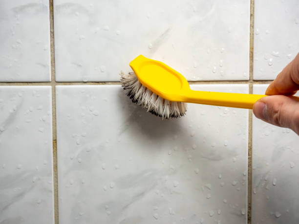 Best Kitchen Mold Remediation in Caledonia, WI