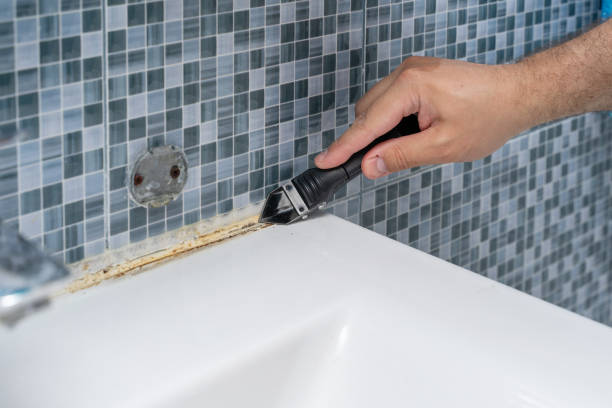 Best Localized Mold Remediation (e.g., coastal areas, humid climates) in Caledonia, WI